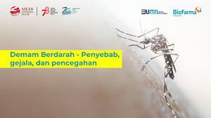 Mengenal Lebih Jauh Tentang Penyakit Demam Berdarah Dengue (DBD)